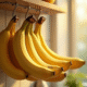 Bananes mûres suspendues dans la cuisine en lumière naturelle